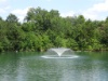 DSC06993