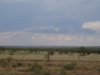 DSC07874