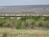 DSC08050