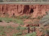 DSC08053
