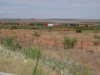 DSC08069