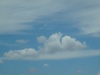 DSC08179