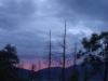 DSC08600