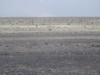 DSC09739
