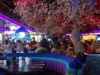 DSC01175