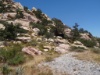 DSC01254