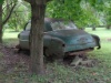DSC05530