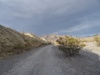 DSC01419