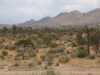 DSC01804