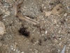 DSC01905