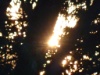 DSC05636