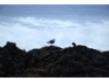 IMG 7773