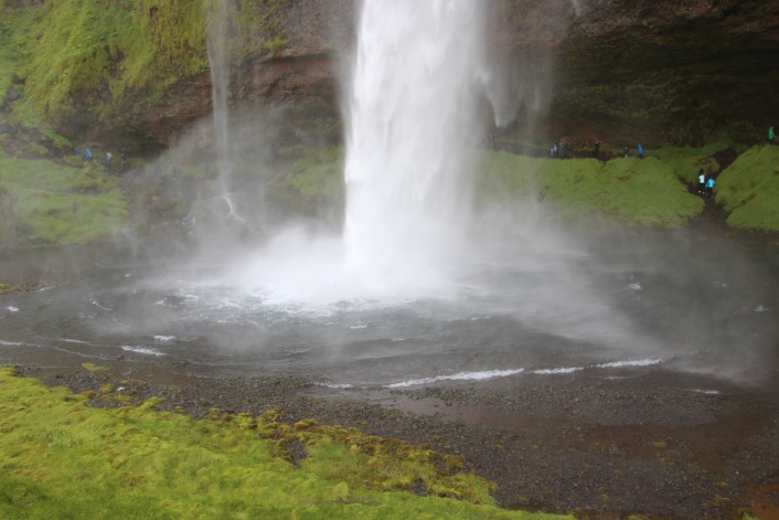 IMG 7953