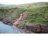IMG 8768