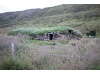 IMG 8774