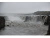 IMG 8861