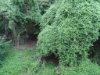 DSC05779